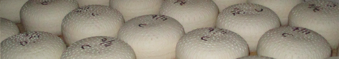 De Luchi Doriano