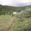 Pivato Filippo