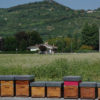 Galiaz