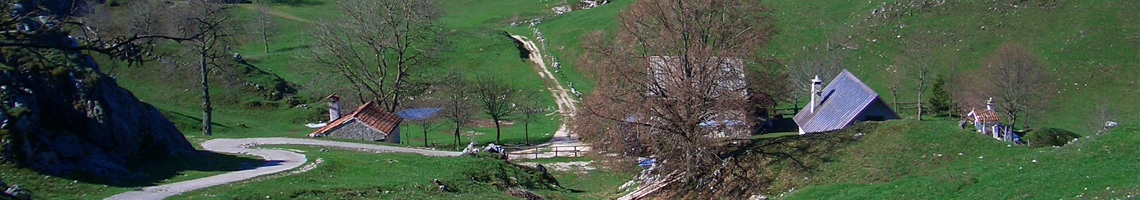quierta