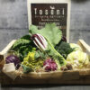 tosoni