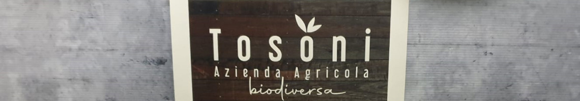 tosoni