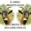 borgolotto-gianluigi
