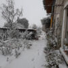 i-barchi