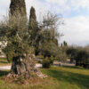 tenuta-baron