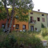un-giardino-tra-i-castagni