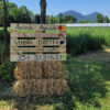 the-land-farm