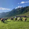 malga-valles-alto