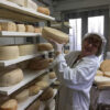 fattoria-crivellaro