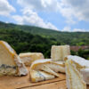fattoria-pedavenda