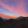 fattoria-pedavenda