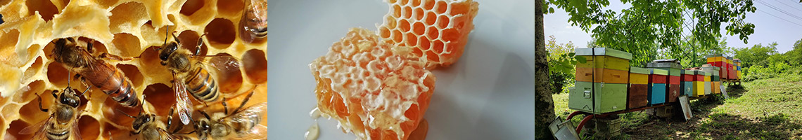 apicoltura-dei-crepo