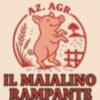 il-maialino-rampante