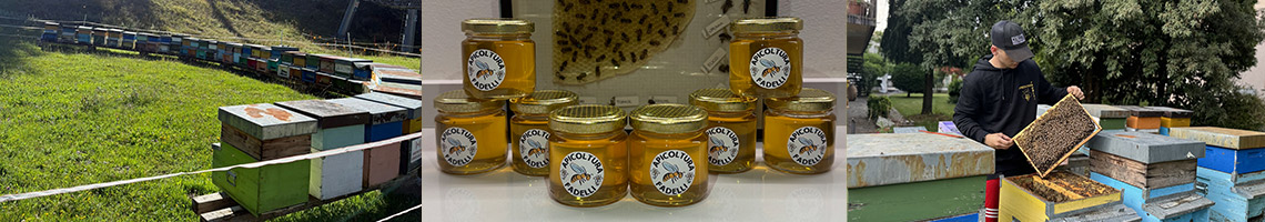 apicoltura-fadelli