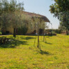 scardoni-alessandra