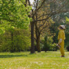 apicoltura-giallo-giallo