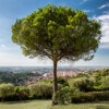 san-mattia