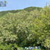sotto-la-roccia
