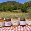 apicoltura-le-primule