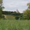 l'ape-della-valle