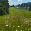 malga-krojer
