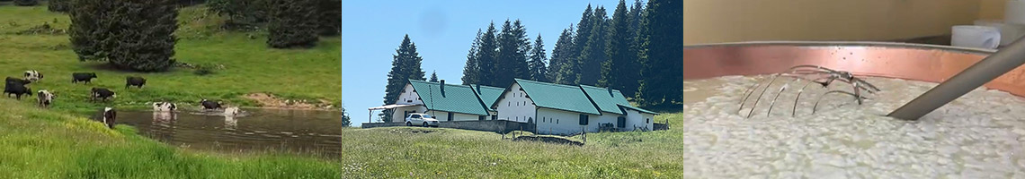 malga-krojer