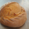 pane-vivo