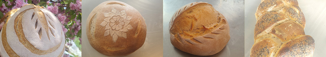 pane-vivo