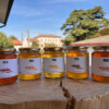 bee-di-boer