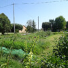 cestaro-francesco