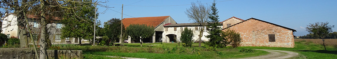 cestaro-francesco